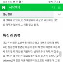 레드칠리플레이크