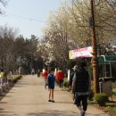 봉황산공원 이미지