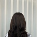 헤어리움(HAIR RIUM)