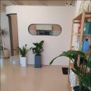 차차헤어 네이버블로그