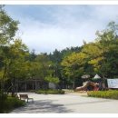 모라백양공원 이미지