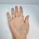 세정빌딩 | 다이소 물자국 없는 세정티슈 사용후기