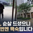 도를 넘은 <b>스브스</b> <b>뉴스</b>