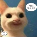 호수공원(아) 이미지