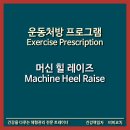 힐앤핏 | [비비코치/운동공장] 머신 힐 레이즈｜Machine Heel Raise (숭의동피티/핏앤랑)