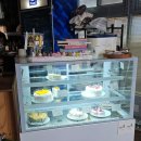 속초 중앙시장근처 애견동반카페 추천 카페코엘 Cafe COEL