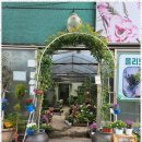 우리꽃집 이미지