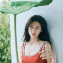 쏨 이미지