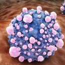 증평요양병원 이미지