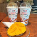 카리 | 나트랑 판랑 사막 투어 중 방문한 카리녹스 커피 대형 카페 후기 Karinox Coffee