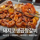 돼지코생곱창갈비 | 익산 모현동 맛집 돼지막창 야채곱창 돼지코생곱창갈비 모현점