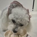 야채랑과일이랑 이미지