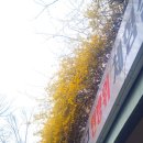 서구 민방위교육장(3) | 인천 남동구 민방위 교육장 (위치, 주차, 교육 등)