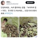 녹차마루 이미지