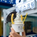 서울에서 강원도 속초 당일치기 여행 버스노선 뮤지엄엑스 아바이마을 맛집 수험생 할인 이미지