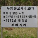 신리 이미지