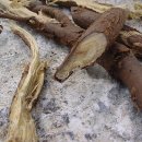 감초한의원 이미지