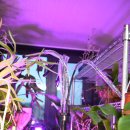 퀘렌시아 이미지