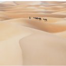 기계사막 이미지