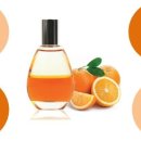 제이스파 이미지