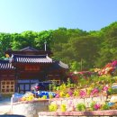 조은사 이미지