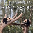 스마트빔월드 | 결혼기념일 데이트! 평일 오픈런 에버랜드 방문 후기(스마트 줄서기/티익스프레스/판다 월드/블러드 시티)