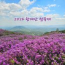 황매산등산로 | 2026 합천 황매산 철쭉제 후기 군립공원 개화현황