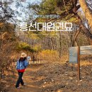 대원아파트산책로 | 남양주 아이와 가볼만한곳 흥원역사문화공원 둘레길 흥선대원 묘