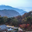 리솜해양레저