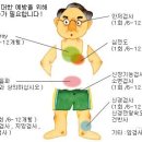 도교육청 사거리 이미지