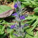 상주산소 이미지