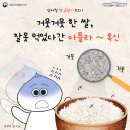 장마철 쌀 곰팡이 주의! 잘못 먹었다간 치명적인 1급 발암 물질 '아플라톡신' 이미지