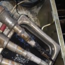 카데렐라 이미지