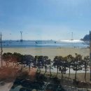 스타벅스 부산송도해수욕장점 이미지