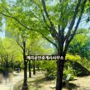 동우빌딩 이미지