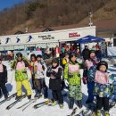 용인대 스마일 태권도 이미지