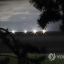 경포배오징어 이미지