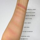 로지마이포지 | [내돈내산 후기] 블친자의 블러셔 10종 발색비교, 퍼스널컬러 봄라이트와 가을 소프트 사이