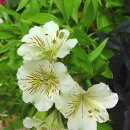 건강한생활 이미지