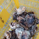 김재덕 농장 이미지