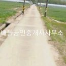 구례전원공인중개사사무소 이미지