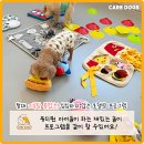 더독스 미니 | 창원강아지유치원 반려견이 즐거워하는 공간 케어독스