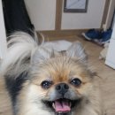 우리콩