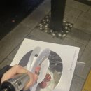 [자취생 리뷰] 파리바게트 딸기 블라썸 케이크 내돈내산 후기
