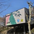 매곡천 자전거길L | 서울 벚꽃 명소 동대문구 중랑천 카페 l 장안 벚꽃길 북카페