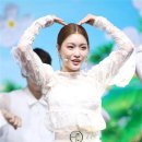 청하 이미지