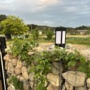 왕피천계곡민박 이미지