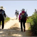 송정2리 이미지