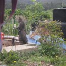 해풍농장 이미지