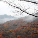 (주)굿모닝지리산 이미지